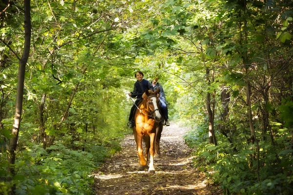 Отец и сын едут на лошадях — стоковое фото