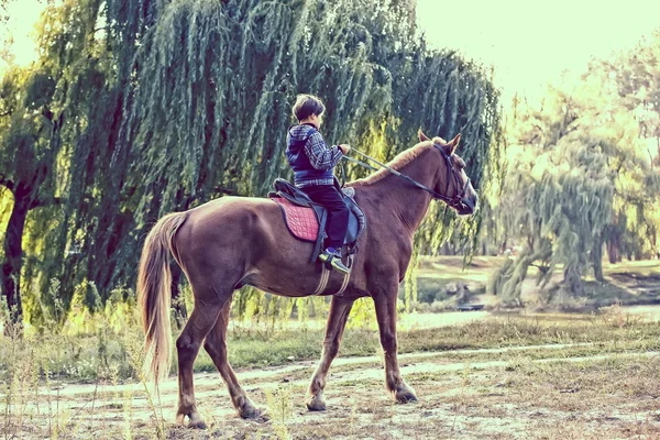 Adolescent garçon sur l 'cheval — Photo