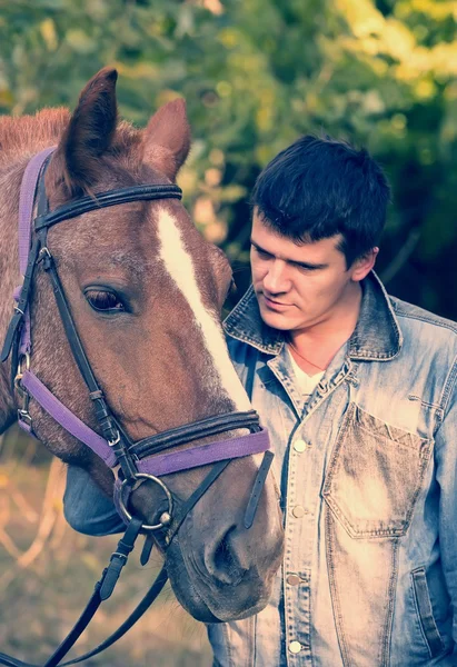 Jonge man paardrijden rasechte paard Rechtenvrije Stockfoto's