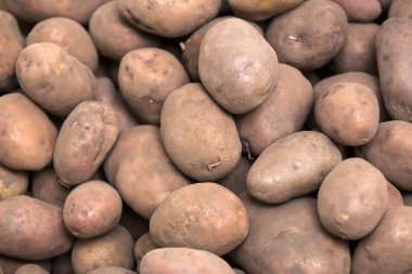 taze olgun patates yığını