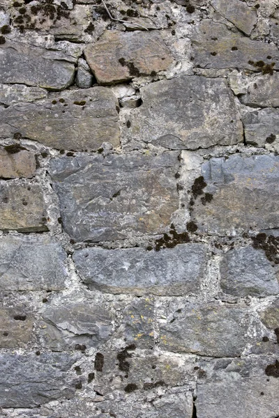Old brick wall close up — Stock Photo, Image