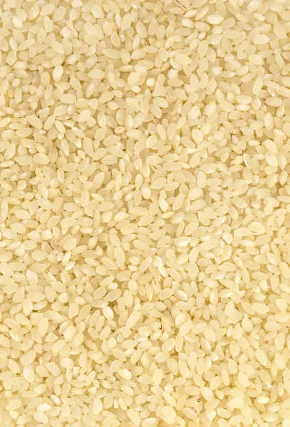 Contexto das sementes de arroz — Fotografia de Stock