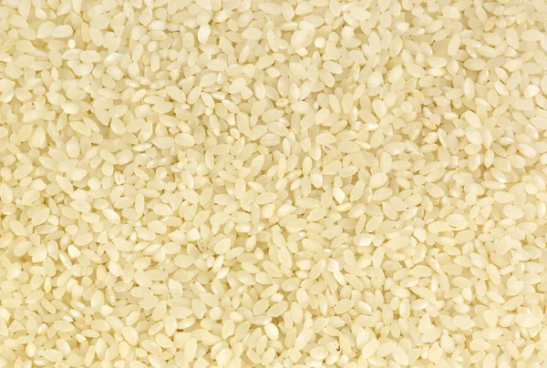 Contexte des graines de riz — Photo