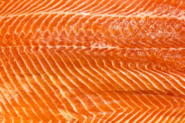 Verse zalm vis — Stockfoto