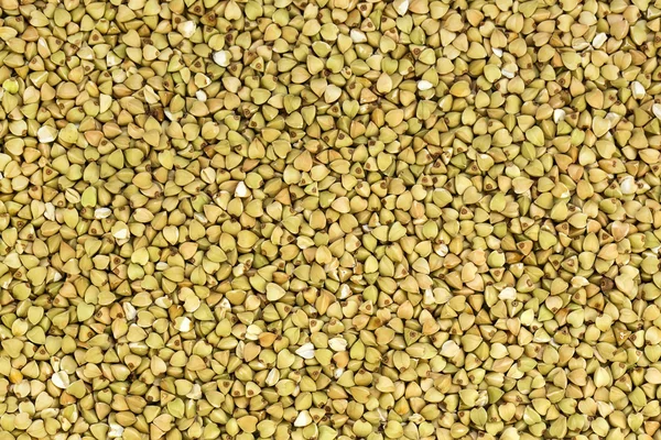 Sfondo di semi di grano saraceno Immagini Stock Royalty Free