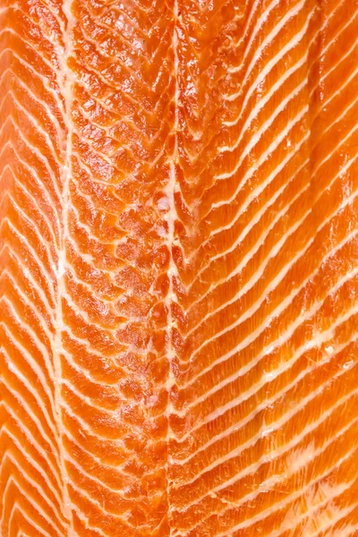 Сырое филе лосося — стоковое фото