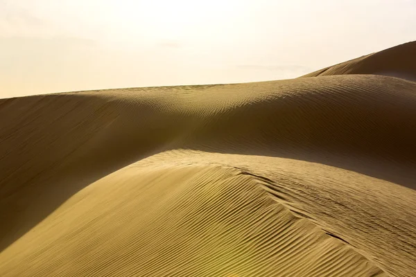 Dunes de sable du désert — Photo