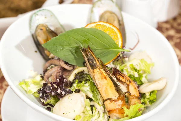 Zeevruchten salade in kom — Stockfoto