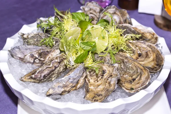 Oysters on ice in dish — Stock Photo, Image