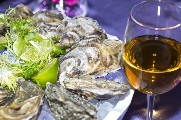 Oysters on ice in dish — Stock Photo, Image