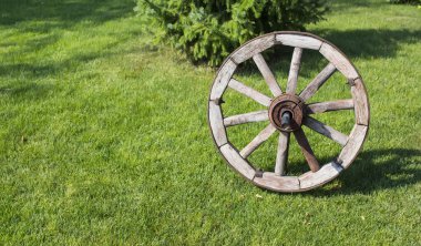 Tahta tekerlek çimenlerin üzerinde