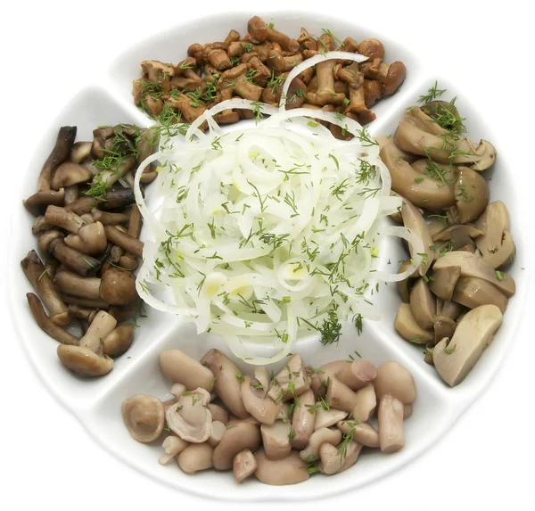 Plate of marinated mushrooms — Stock Photo, Image