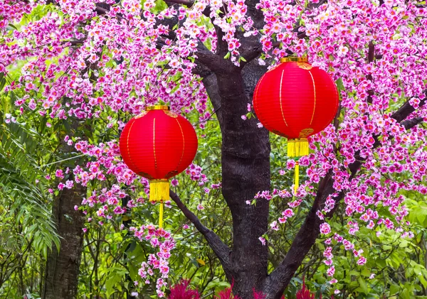 Asian style decor lanterns — Stock Photo, Image