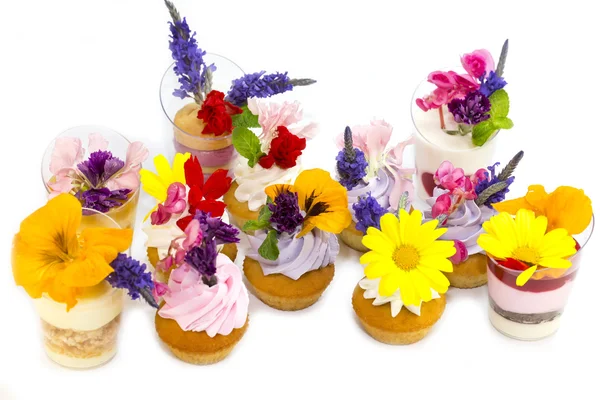 Muffins and canapes with flowers — Stock Photo, Image