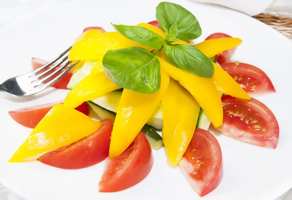 Salad with Tomatoes and peppers — Stock Photo, Image