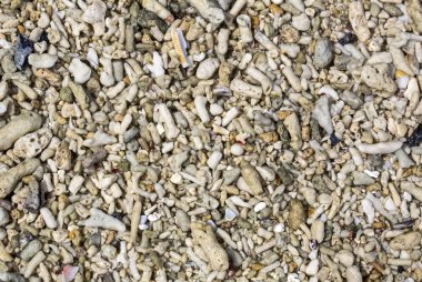 tło kamyki na plaży