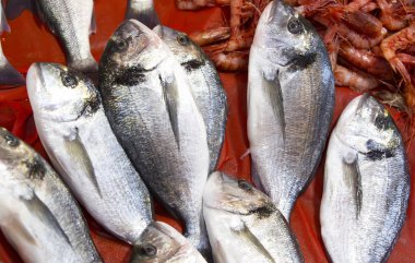 Taze deniz balığı.