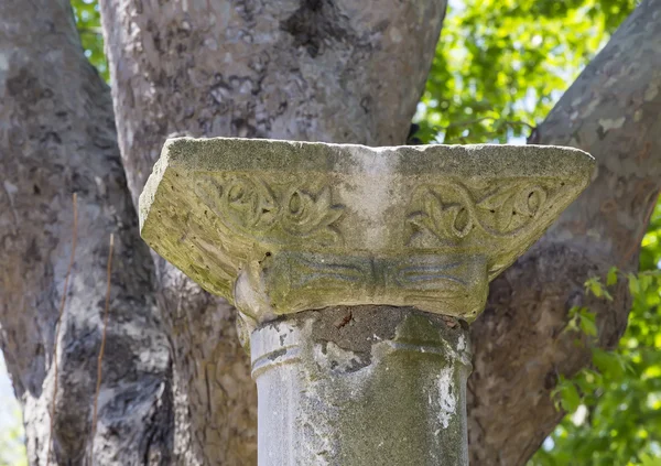 Antik sütun kalıntıları