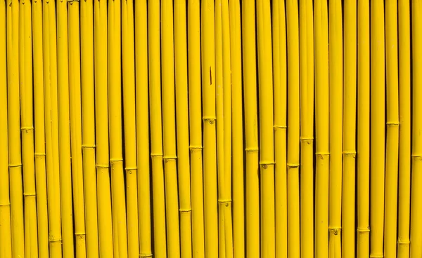 bamboo sticks arranged in a row