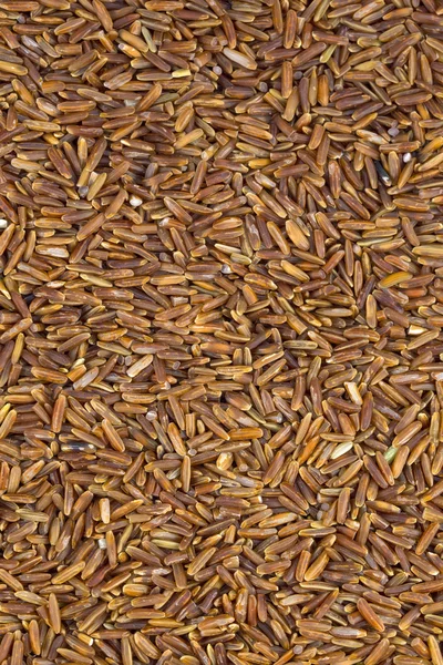 Fundo de sementes de arroz polido — Fotografia de Stock