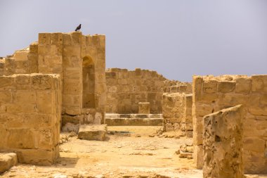 Harabeleri antik Pafos