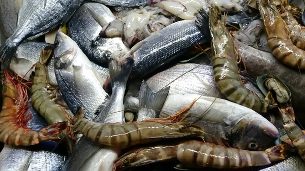 Assortment of fresh seafood — Stock Photo, Image