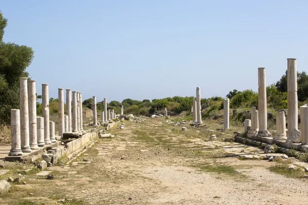 Pafos na Krecie — Zdjęcie stockowe