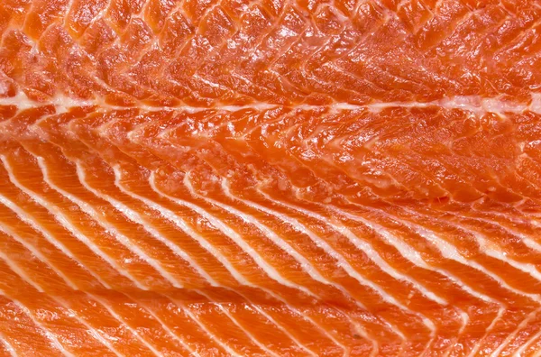 Свежий лосось — стоковое фото