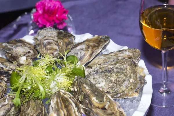 Oysters on ice in a dish on a table — Stock Photo, Image