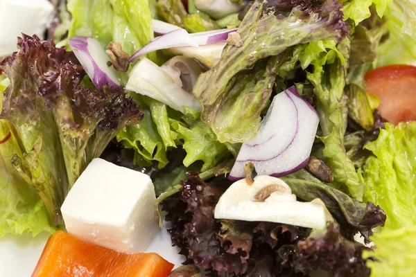 Ensalada griega sobre fondo blanco —  Fotos de Stock