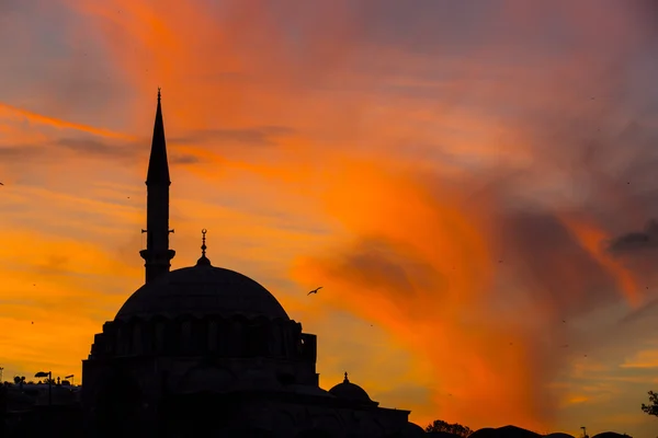 Mosquée au coucher du soleil — Photo