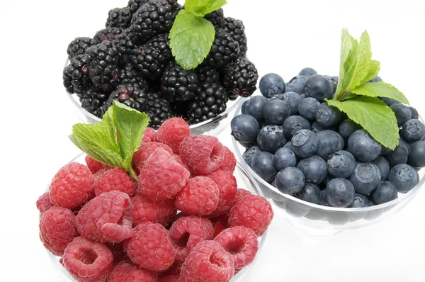 蓝莓覆盆子和黑莓 — 图库照片