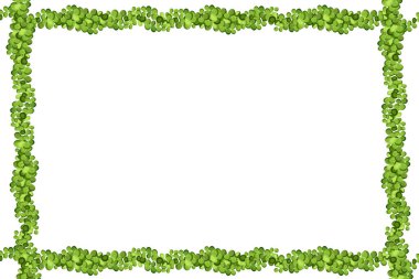 Üzüm üzümü, sarmaşık veya sarmaşık çerçevesi yukarıdan sarkıyor veya duvara tırmanıyor. Bahçe ya da ev için dekorasyon. Beyaz arkaplanda şablon..