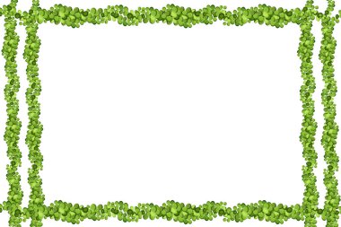 Üzüm üzümü, sarmaşık veya sarmaşık çerçevesi yukarıdan sarkıyor veya duvara tırmanıyor. Bahçe ya da ev için dekorasyon. Beyaz arkaplanda şablon..