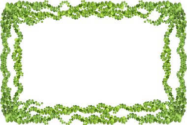 Üzüm üzümü, sarmaşık veya sarmaşık çerçevesi yukarıdan sarkıyor veya duvara tırmanıyor. Bahçe ya da ev için dekorasyon. Beyaz arkaplanda şablon..