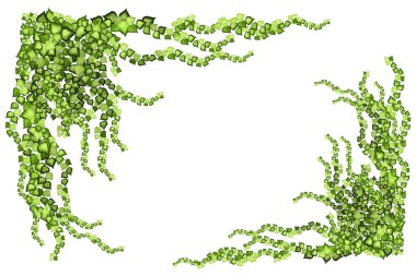 Üzüm üzümü, sarmaşık veya sarmaşık çerçevesi yukarıdan sarkıyor veya duvara tırmanıyor. Bahçe ya da ev için dekorasyon. Beyaz arkaplanda şablon..