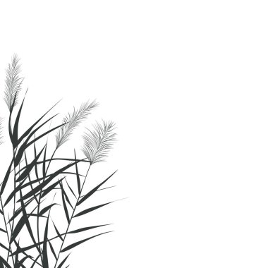 Sazlıklarla vektör el çizimi.