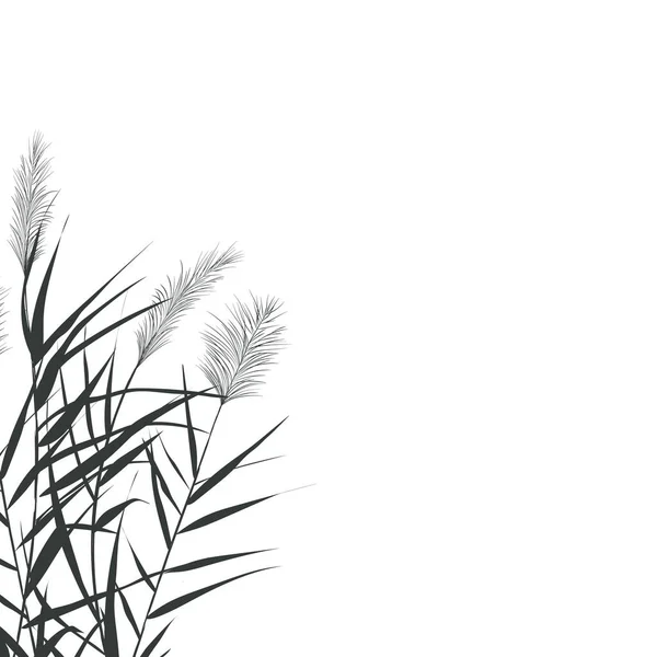 Sazlıklarla vektör el çizimi.