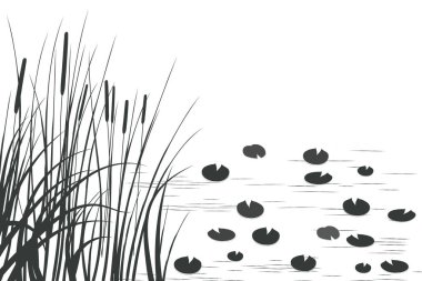 Sazlıklarla vektör el çizimi.