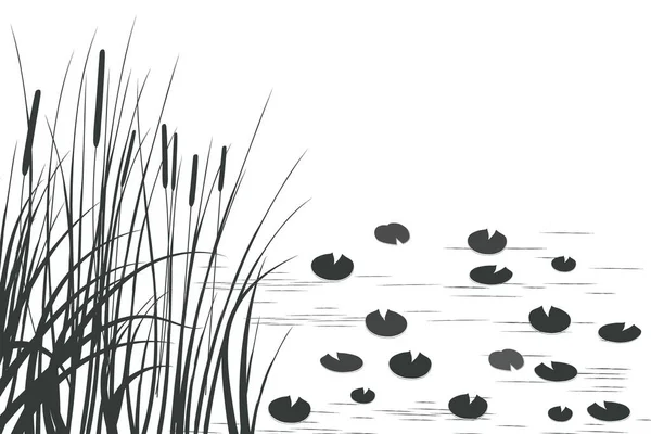 Sazlıklarla vektör el çizimi.