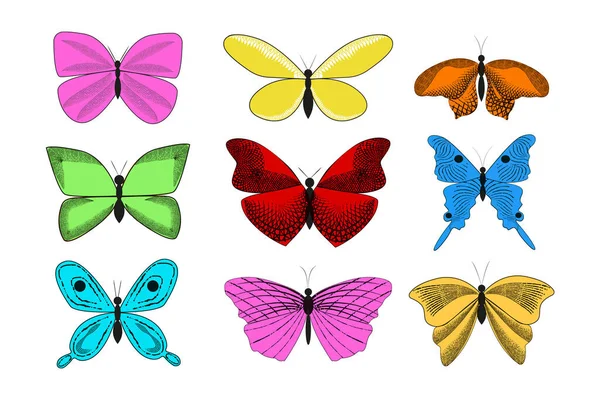 蝶のヴィンテージエレガントなイラストのコレクション — ストックベクタ