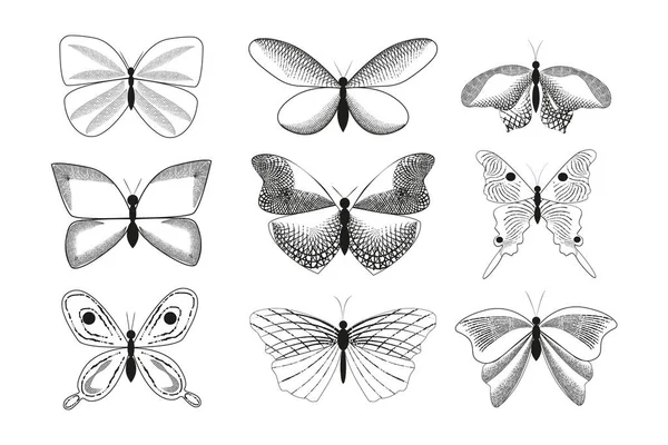 Kelebeklerin Zarif Resimlerinin Koleksiyonu — Stok Vektör