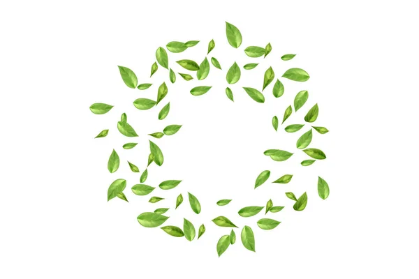 Természet Teaültetvény Zöld Teakert Háttér Friss Dekoratív Design Elemek — Stock Vector