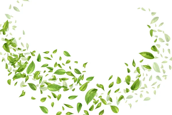 Naturaleza Plantación Fondo Jardín Verde Elementos Diseño Decorativo Fresco — Vector de stock