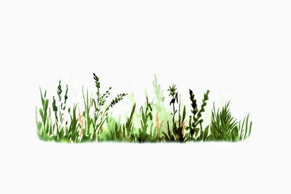 Οικολογία Περιβάλλον Και Βιο Έννοια Υδατογραφία Εικονογράφησηπράσινο Γρασίδι — Φωτογραφία Αρχείου