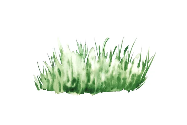 Ökologie Umwelt Und Biokonzept Aquarellillustration Grünes Gras — Stockfoto