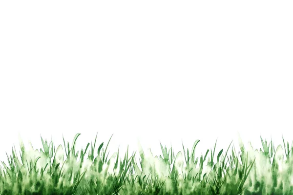 Ekoloji, çevre ve biyoloji. Suluboya çizimi. Yeşil çimen..