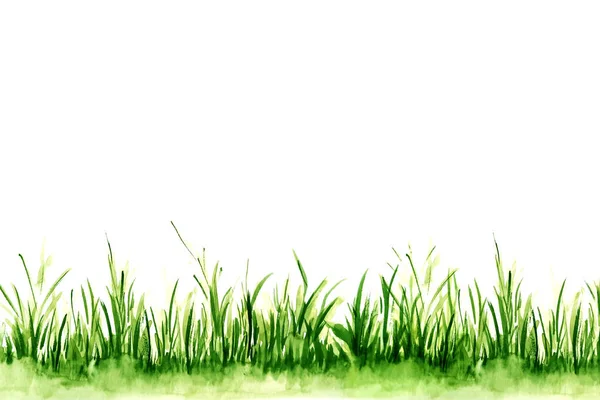 Ecología Medio Ambiente Bio Concept Watercolor Illustration Green Hierba — Foto de Stock
