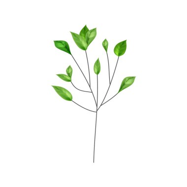 Gerçekçi yapraklı çizgi çalışması.