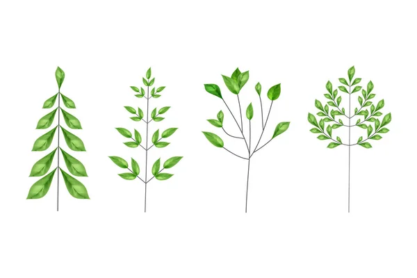 Linea composizione artistica con foglie realistiche. — Vettoriale Stock